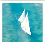 Kayaking Sailing Danger Charters Key West