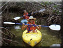 Kayaking Key West