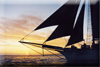 Sunset Sail Excursions
