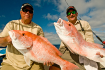 Red Snapper Dry Tortugas