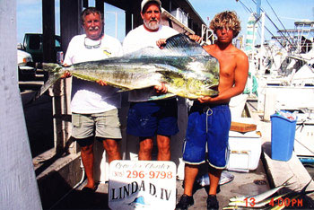 Linda D sport fishing Key West dolphin