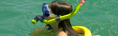 key west snorkeling